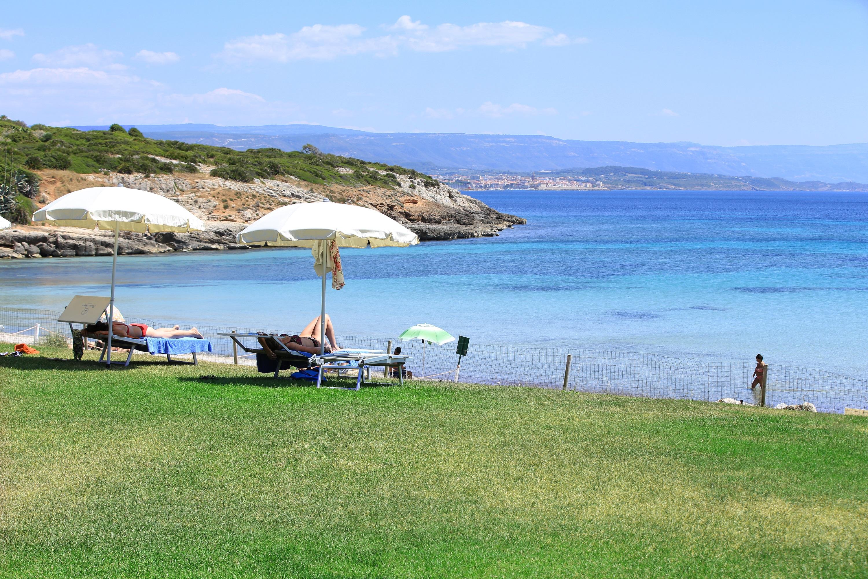 Punta Negra Fertilia